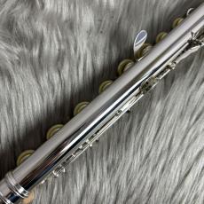 Altus A12RE/OFFSET_10