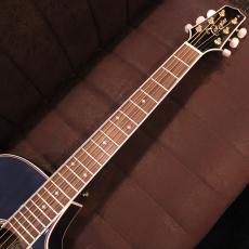 Takamine 100CTM CBG【演奏動画あり】【10本限定モデル】_3