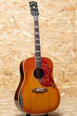 Gibson Hummingbird 1965_3