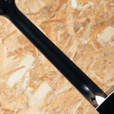 Taylor 214ce Special Edition Trans Blue_7