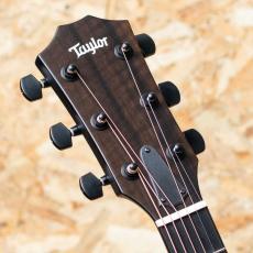 Taylor 214ce Special Edition Trans Blue_8