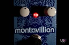 catalinbread Montavillian Echo_7