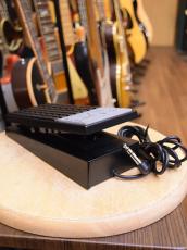 Roland EV-5/Expression Pedal_2