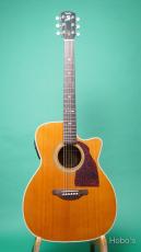 Shelly SY-M20 PU標準装備 (LR Baggs StagePro Onboard Pickup Element)_2