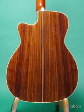 Shelly SY-M20 PU標準装備 (LR Baggs StagePro Onboard Pickup Element)_4