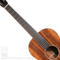 Santa Cruz 1929 00 (All Hawaiian Koawood)_5