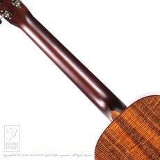 Santa Cruz 1929 00 (All Hawaiian Koawood)_6