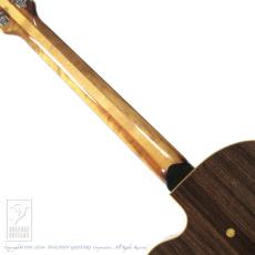 VERSOUL Buxom Minor 6 Cutaway Gold Label (Fiesta Red Top)_6