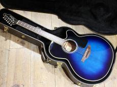 Takamine TDP500-6 DBS_2