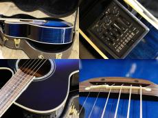 Takamine TDP500-6 DBS_6
