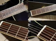 Takamine TDP500-6 DBS_7