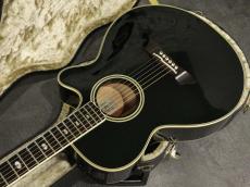 Takamine NTP-115 1992_5