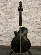 Takamine NTP-115 1992_11