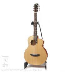 aNueNue aNN-M100E _2