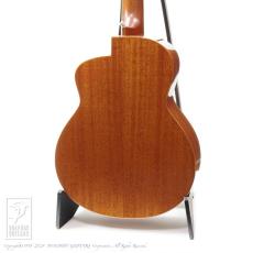 aNueNue aNN-M100E _3