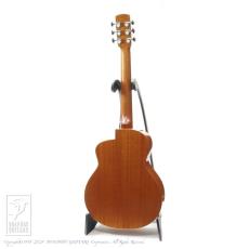 aNueNue aNN-M100E _4