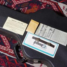 Gibson 1977 ES-350T_11