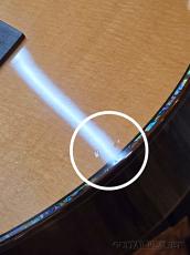 Larrivee P-10 Rosewood -2006USED!!-【48回迄金利0%対象】_9