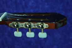YAMAHA GC-31C オール単板_5