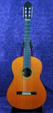 YAMAHA GC-31C オール単板_6