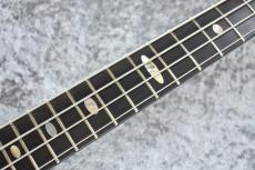 ALEMBIC Distillate Bass 【4.52kg】_5