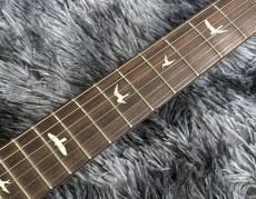 Paul Reed Smith [PRS] SE Silver Sky Rosewood Dandy Lion -John Mayer Signature Model- 【2025年NEWカラー】_5