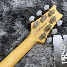 Paul Reed Smith [PRS] SE Silver Sky Rosewood Dandy Lion -John Mayer Signature Model- 【2025年NEWカラー】_7