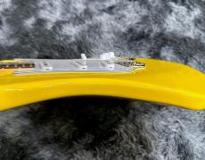 Paul Reed Smith [PRS] SE Silver Sky Rosewood Dandy Lion -John Mayer Signature Model- 【2025年NEWカラー】_10