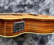 K.Yair WY-1 N -Electric Acoustic Series-【2025年製】【日本製】【エレアコ】_9