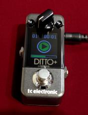 tc electronic DITTO+ 【正規輸入品】【最大60分録音99ループ保存】