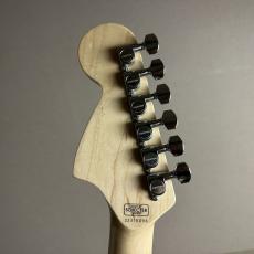 SCHECTER PS-ST-DH/GWN/R【現物画像 】【限定モデル 日本製】【最大36回分割無金利 実施中】_8