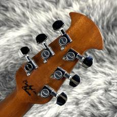 Ovation Celebrity Elite CE44 Black_9