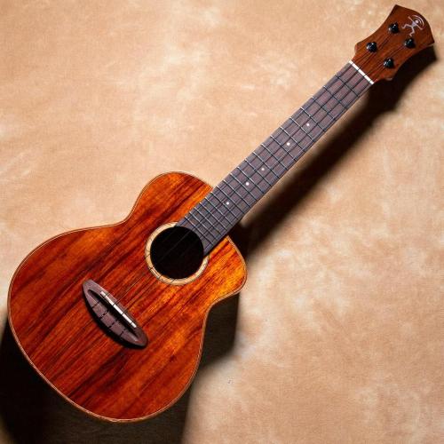 aNueNue aNN-UC1K Koa Bird AA Concert【お取り寄せ商品】