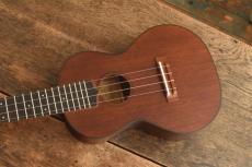 Luna Concert MV-2C QV