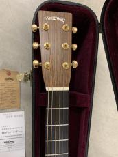 Headway HF-415 ARS/STD 40TH Anniversary !_5