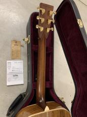 Headway HF-415 ARS/STD 40TH Anniversary !_10