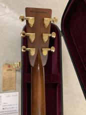 Headway HF-415 ARS/STD 40TH Anniversary !_11