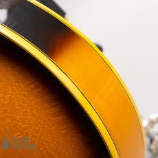 Gibson Byrdland_11