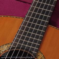 Juan Hernandez [ホアン・エルナンデス] Modelo Concierto (Nylon Strings)_9
