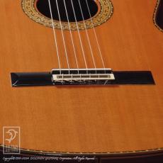 Juan Hernandez [ホアン・エルナンデス] Modelo Concierto (Nylon Strings)_10