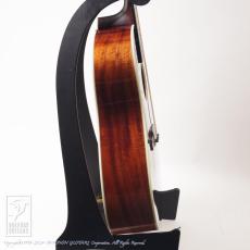 Eastman E10-SS/SB_5