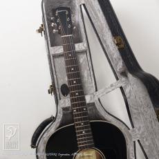 Eastman E10-SS/SB_8