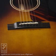 Eastman E10-SS/SB_11