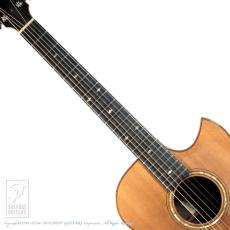 James Goodall RGCC (Grand Concert Cutaway)_5