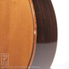 James Goodall RGCC (Grand Concert Cutaway)_10