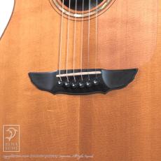 James Goodall RGCC (Grand Concert Cutaway)_13