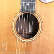 James Goodall RGCC (Grand Concert Cutaway)_14