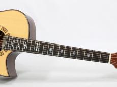 Somogyi Modified D Cutaway Brazilian #378 *2006_6