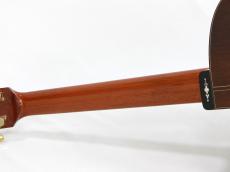 Somogyi Modified D Cutaway Brazilian #378 *2006_9