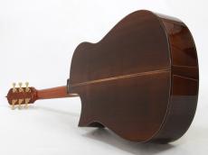 Somogyi Modified D Cutaway Brazilian #378 *2006_11